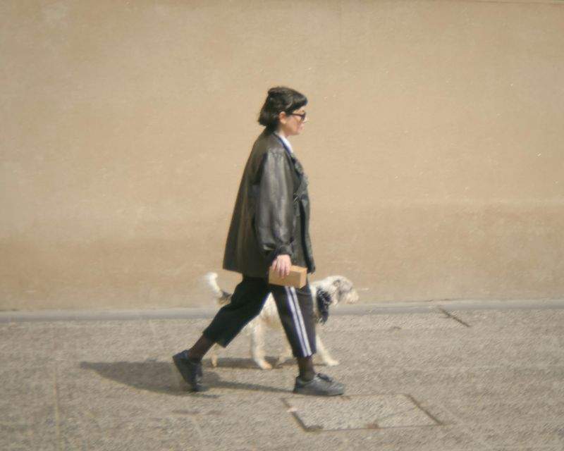 犬の散歩プロフェッショナルズ - Image 2